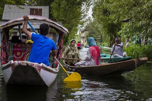 Discover Kashmir Like Locals